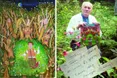 Про душевний презент «на Івана» — від народного генія Івана Сколоздри