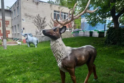 Олень, корова, кінь, кабанчик&hellip;
