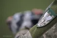 У Львівському ТЦК і СП прокоментували насильне затримання чоловіка у Шевченківському районі