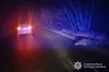 На Львівщині внаслідок наїзду автомобіля загинув 30-річний пішохід