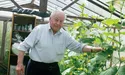 Вирощують овочі та плекають квіти