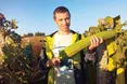 Із люфи буде натуральна губка