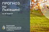Хмарно та без опадів: прогноз погоди на Львівщині на 16 жовтня