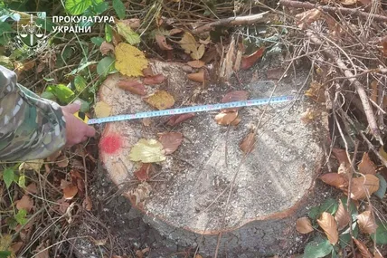Фото: Прокуратура України