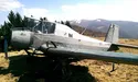 З лісових стежок контрабандисти перейшли на залізничну колію