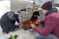 «Кинув собаку напризволяще, у мороз прив’язавши його до стовпа...»