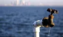 Стовкли воду в ступі…