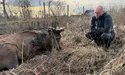 Через бюрократів життя оленя Бориса висить на волосині!