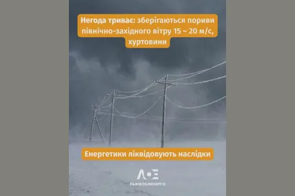 Фото: Львівобленерго