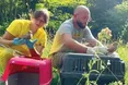 Одні рятують і дають волю соколам — інші викидають з 10-го поверху кажанів