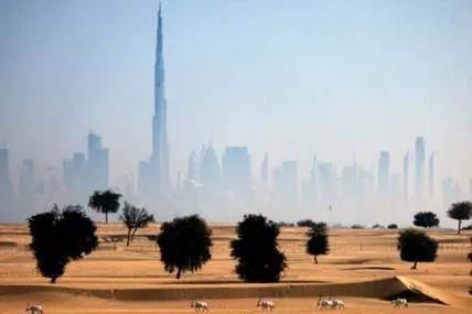 Фото Arab News