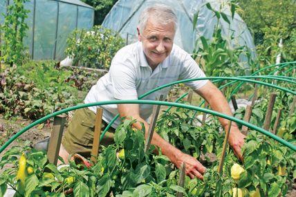 Із доглянутих грядок&nbsp;&mdash; висока віддача