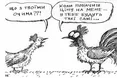Курятина вже дорожча за свинину
