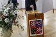 Завершилося голосування на виборах у Чехії: деталі