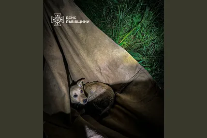 Фото рятувальників
