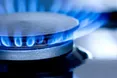Російський газ замінить... малина
