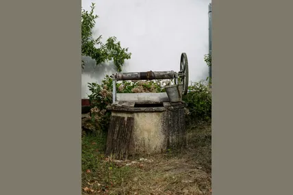 Фото ілюстративне із сайту Pexels
