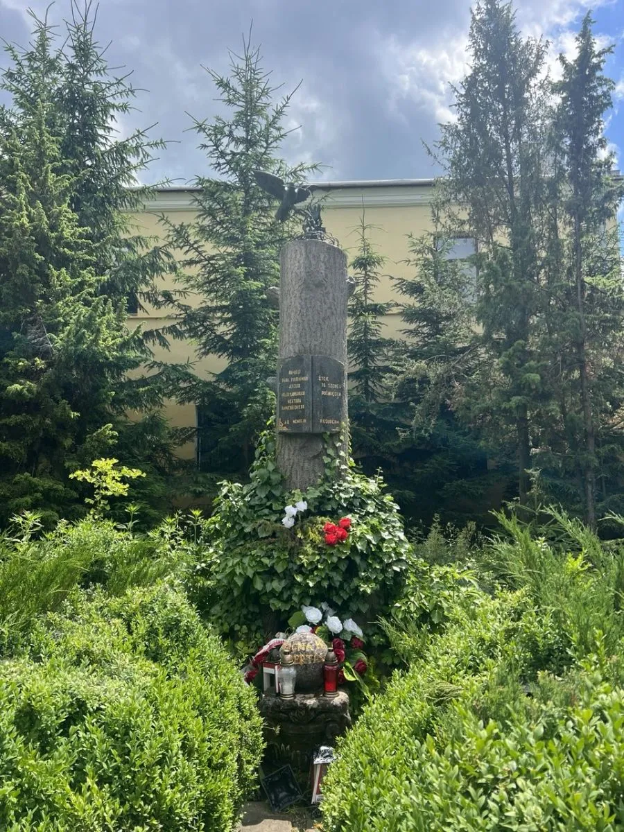 Памʼятний знак пану Володийовському
