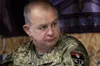 Контрнаступ на Олександрівському напрямку: Дніпропетровщина майже повністю вільна від окупантів