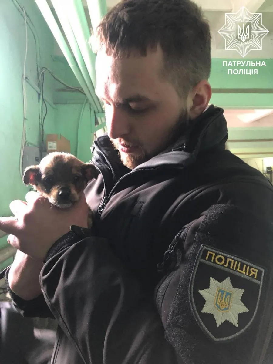 Фото поліції
