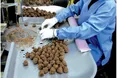 «Світоч» – невід’ємна частина солодких мрій