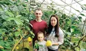 У заглибленій теплиці - справжні «тропіки»