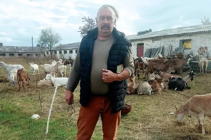 Стадо Сергія Свириденка поступово освоїлося на новому місці. Фото з архіву Сергія Свириденка.