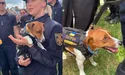У Львові пес Патрон був не менш популярним за Анджеліну Джолі
