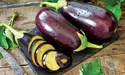 Баклажани — піґулка від куріння