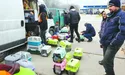 Евакуація тварин: що треба знати