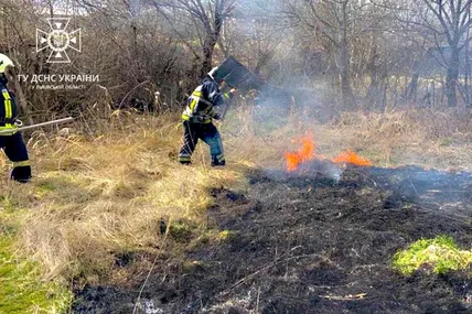 Пожежа сухостою. Фото: Головне управління ДСНС України у Львівській області