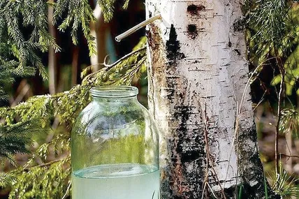Фото з відкритих джерел