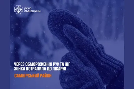 Фото: ДСНС Львівщини