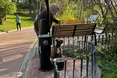 У Стрийському парку — питні фонтани для чотирилапих та їхніх господарів