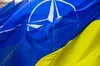 У НАТО працюватимуть над інтеграцією України в Альянс, — глава МЗС Чехії Ліпавський