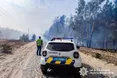 Масштабна пожежа на Рокитнівщині: вогонь стрімко поширюється між селами