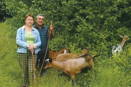 Протягом весняно-літнього періоду Оксана та Ігор Лукіни випасають своїх кіз. Фото з архіву родини Лукіних