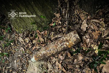 Фото ДСНС Львівщини