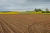 На Львівщині прокуратура повертає 300 гектарів землі, переданих в оренду без торгів