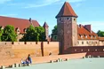 Кажани з усієї Польщі злітаються до Мальборкського замку