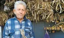 Файного ґазду пізнати по подвір'ю