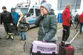 «Українці зараз переживають кризу, трагедію, травму, втрату»