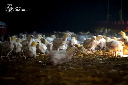 Фото: Головне управління ДСНС України у Львівській області