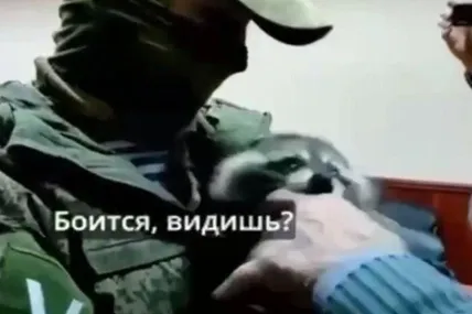 Фото скріншот відео