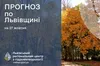 На Львівщині очікується туман і поривчастий вітер