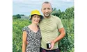 Вирощують синю та рожеву лохину