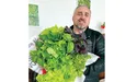 Свіжа зелень — цілий рік