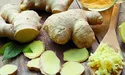 Імбир: вогняний корінь чи універсальні ліки?