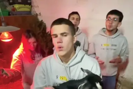 Волонтери «Домівки» співають на мотив «Марії-Терези» і просять допомогти тваринам.