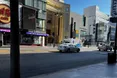 На Алеї слави у Голлівуді з’явилися зірки, присвячені українським тваринам на межі зникнення